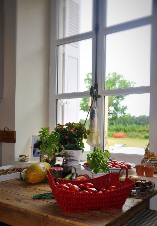 Manoir la Rumillette Saint-Michel-sur-Loire Extérieur photo